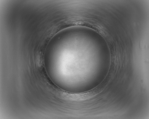 X0000065250030200602171440