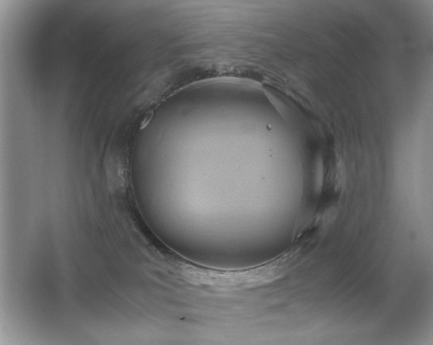 X0000065250039200602171439
