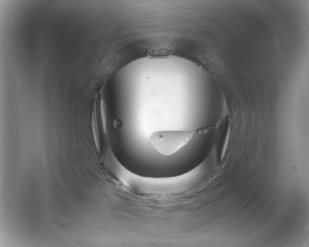 X0000065250041200602171439