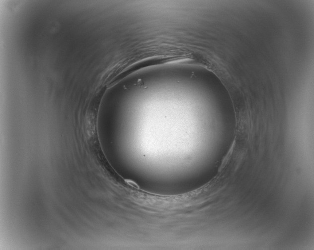 X0000065250043200602171439