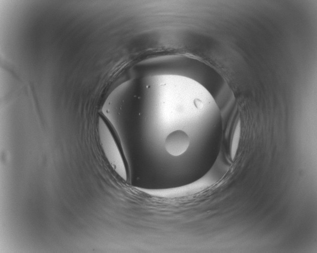 X0000065250045200602171439