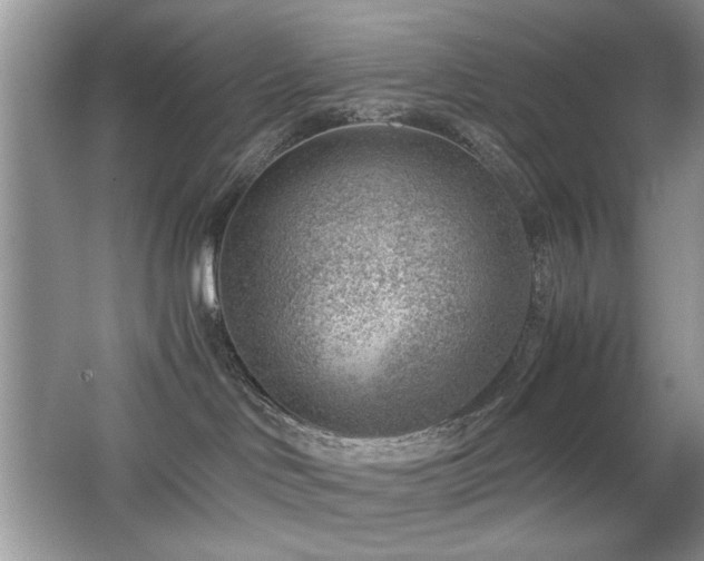 X0000065250046200602171439