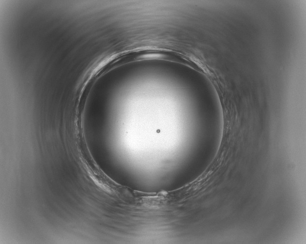 X0000065250050200602171438