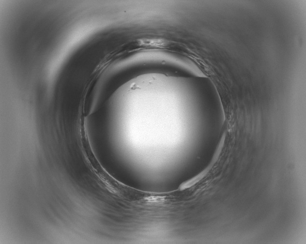 X0000065250052200602171439