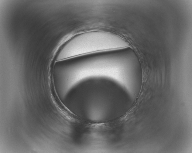 X0000065250054200602171439