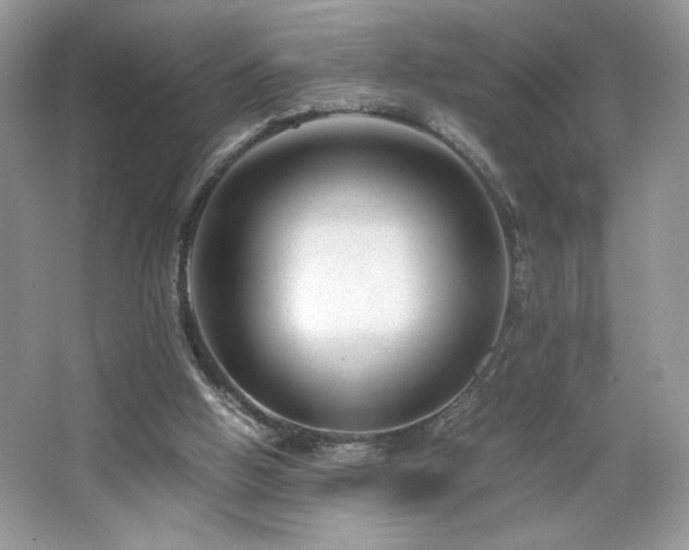 X0000065250058200602171439