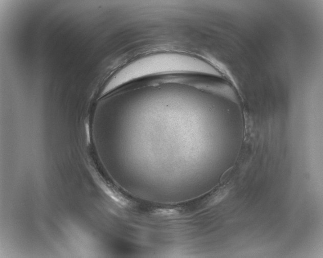 X0000065250061200602171439