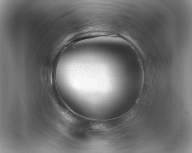 X0000065250062200602171439