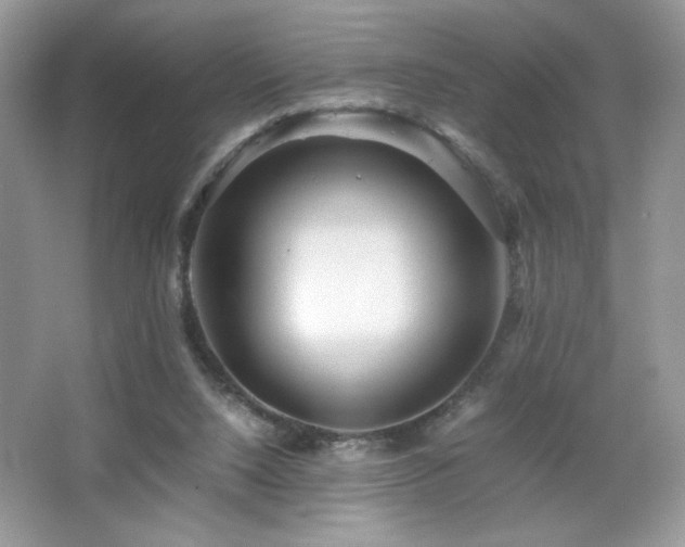 X0000065250064200602171439