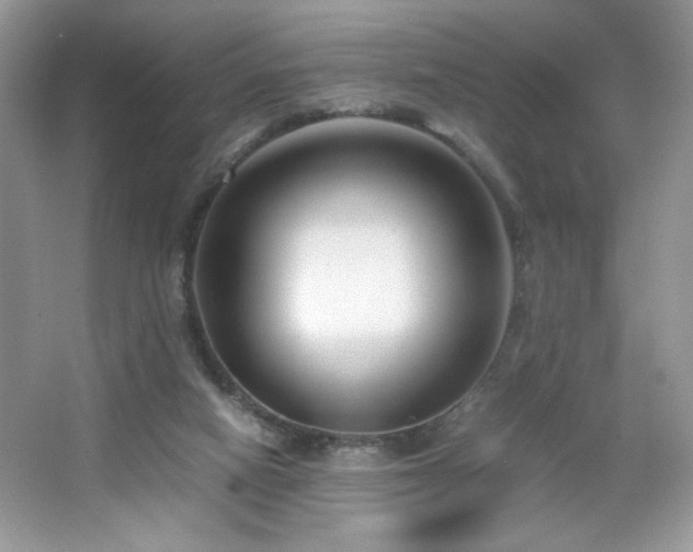 X0000065250066200602171439