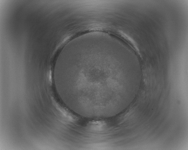 X0000065250067200602171439