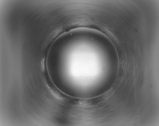X0000065250070200602171439