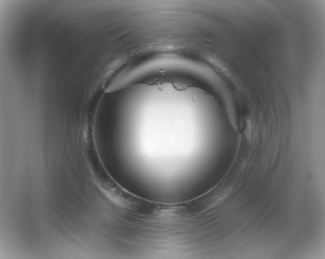 X0000065250072200602171439