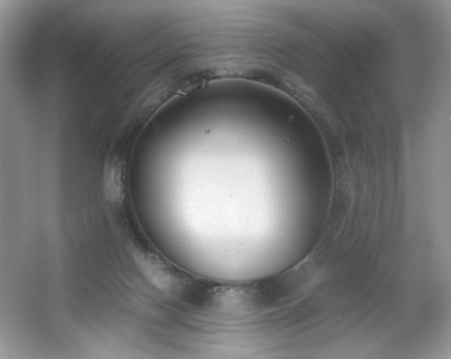 X0000065250074200602171439