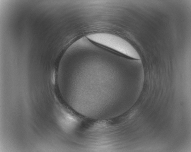 X0000065250076200602171439