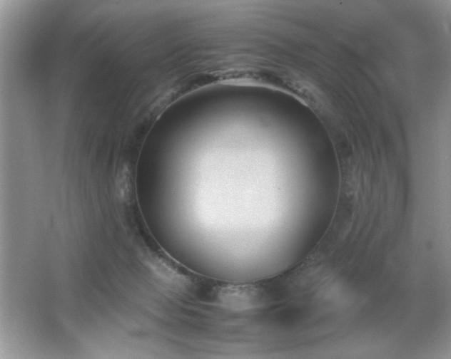 X0000065250077200602171439