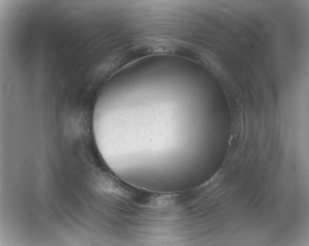 X0000065250078200602171439