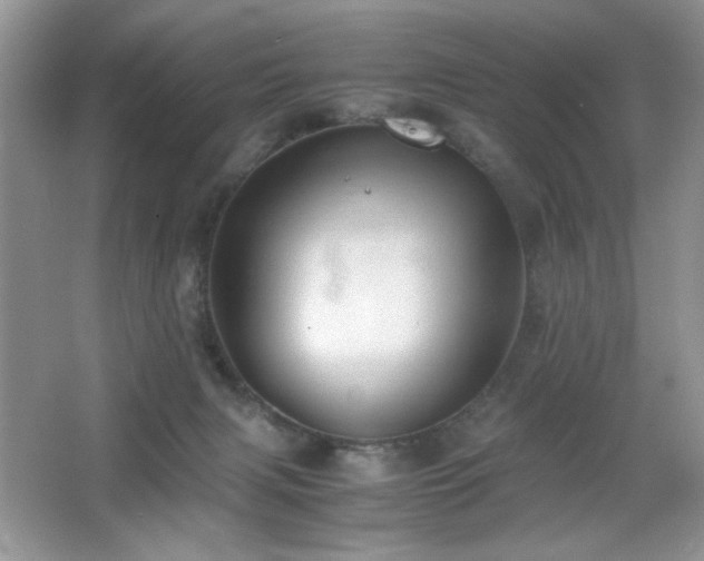 X0000065250079200602171439
