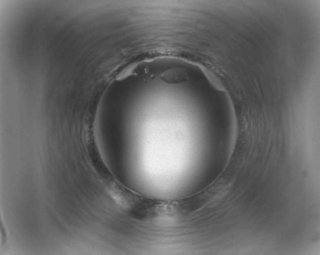 X0000065250080200602171439