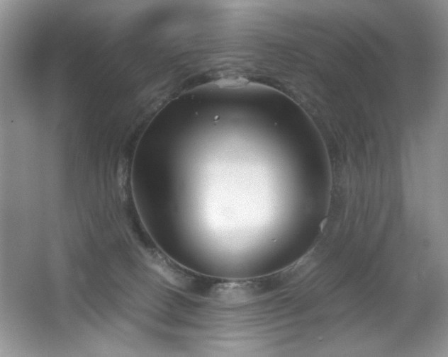 X0000065250082200602171439