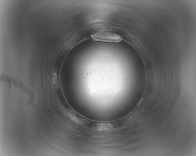 X0000065250087200602171439
