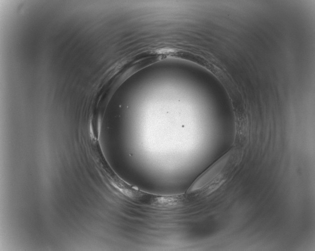 X0000065250095200602171439