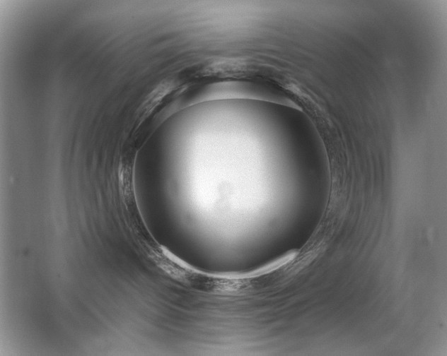 X0000065250096200602171439