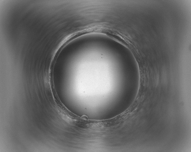 X0000065250100200602171438