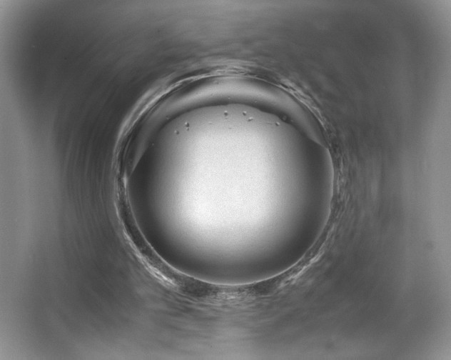 X0000065250101200602171438
