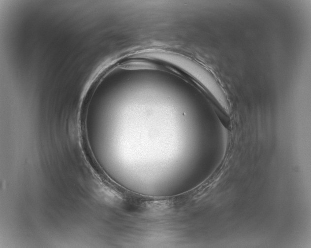 X0000065250102200602171438