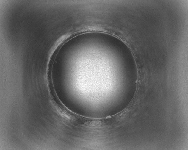 X0000065250104200602171438