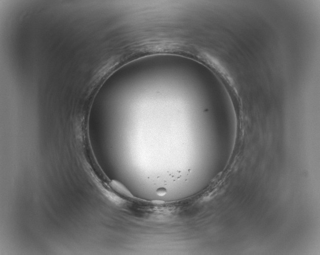 X0000065250105200602171438