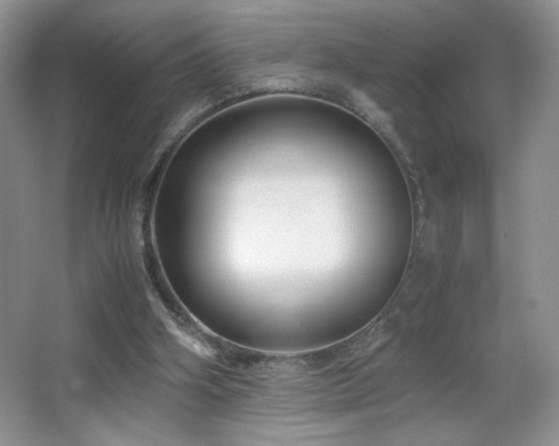 X0000065250106200602171438