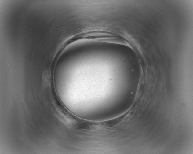 X0000065250107200602171438