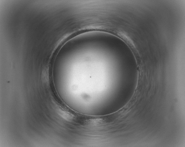 X0000065250108200602171438