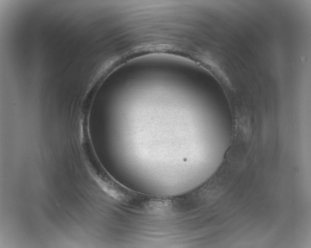 X0000065250110200602171438