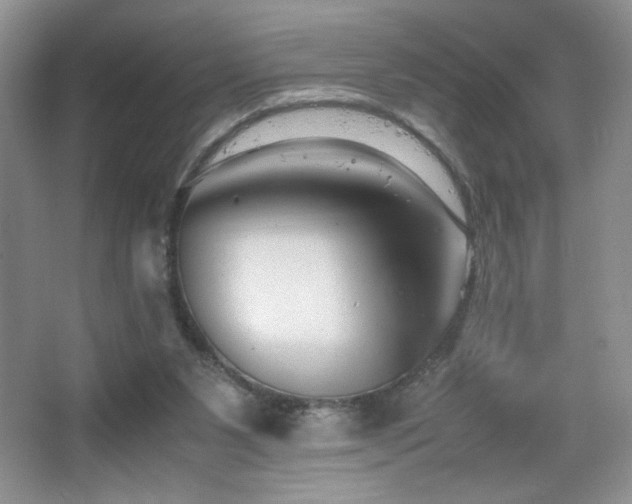 X0000065250111200602171438