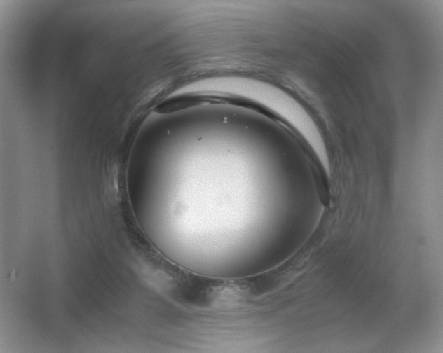 X0000065250115200602171438