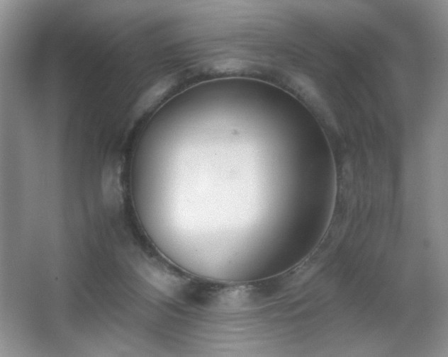 X0000065250116200602171438