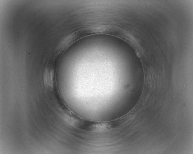 X0000065250118200602171438