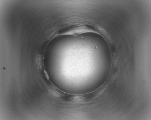 X0000065250121200602171438