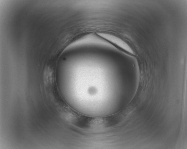 X0000065250123200602171438