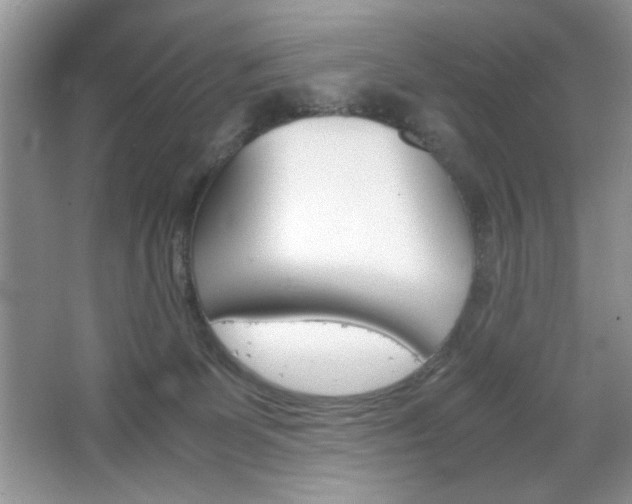 X0000065250131200602171438