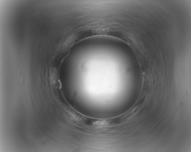X0000065250133200602171438