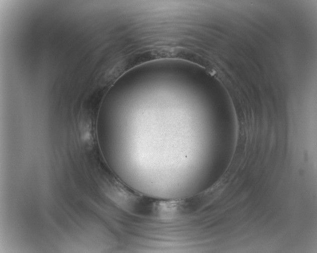 X0000065250134200602171438