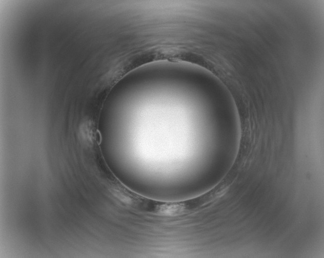 X0000065250135200602171438