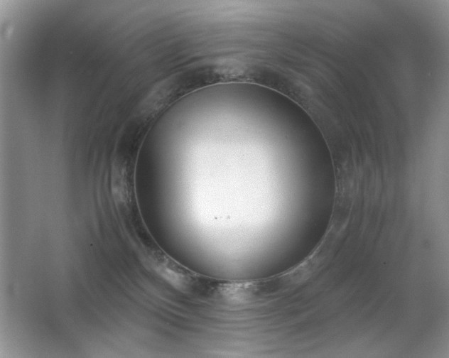 X0000065250136200602171438