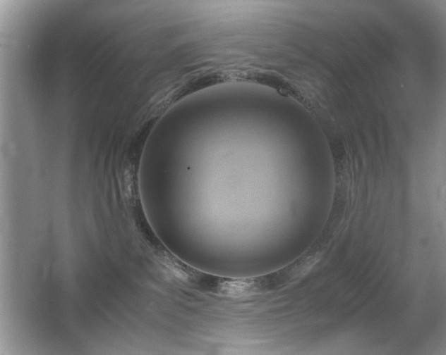 X0000065250139200602171438