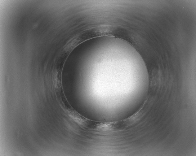 X0000065250140200602171438