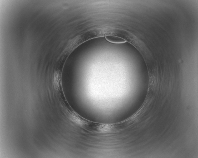 X0000065250142200602171438